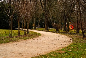 Kręta alejka w parku obsadzona młodymi drzewami - wczesną wiosną .