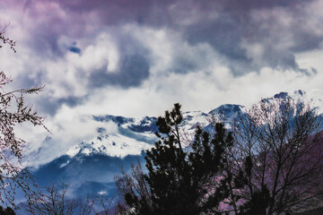 Mountain Background Trees Spring Foreground