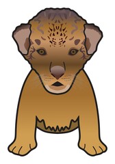 newborn lion vector drawing on isolated white background cartoon mammal animal pose character standing walking head face adult male logo icon object illustration savanna wildlife jungle king concept