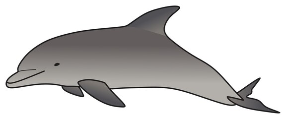 dolphin vector drawing on isolated background swimming in ocean water underwater wildlife concept cartoon fish whale animal character funny childish comic logo icon sign object outline illustration 
