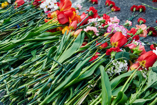 A bunch of different flowers on the granite monument. Tulips and carnations on Victory day. Ninth of may holiday. Horizontal photo.