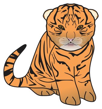 newborn tiger vector drawing on isolated white background cartoon mammal animal pose character standing walking head face logo icon sign symbol object outline illustration wildlife jungle concept 