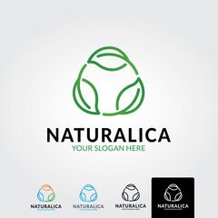 Natural leaf logo template - vector