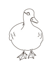 Cute goose is drawn in one line style. Vector illustration isolated on white background