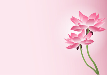 Lotus flower, pink lotus, pink template, two flowers