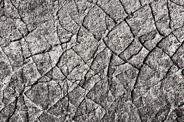 Black cracks background. Scratched lines texture. White and black distressed grunge pattern. Peel paint crack. Weathered rustic surface. Dry paint overlay. Cracked asphalt backdrop.