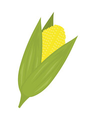 corn vegetable icon