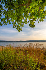 Seeufer im Frühling Radolfzell am Bodensee 