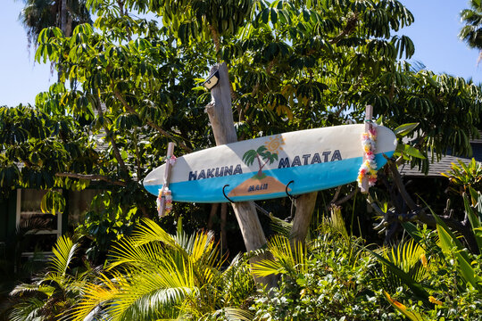 Hakuna Matata Surfboard