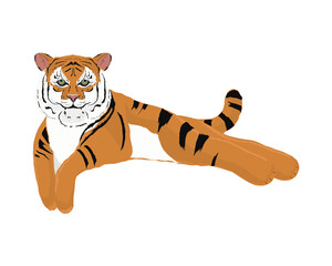 Fototapeta na wymiar tiger animal cartoon