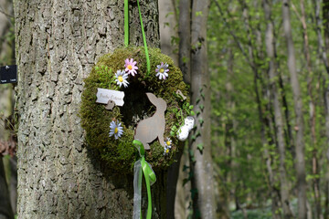 frische urnenbestattungsstelle im ruhewald rheinhessische schwei