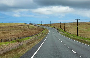 Fototapeta na wymiar Road to Cape Reinga - New Zealand