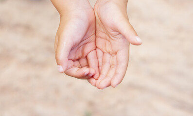 Children's hands are outstretched, touching nature.
