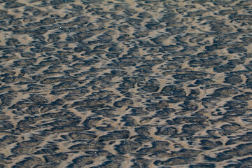 sand surface texture