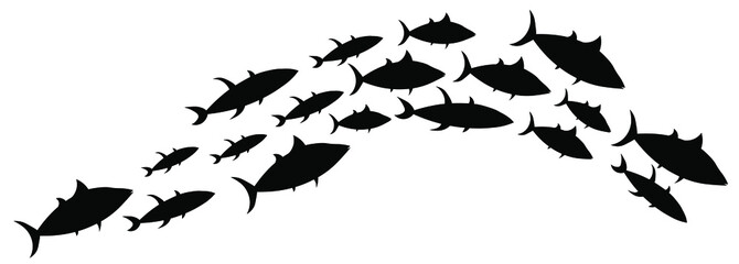 Abstract silhouette tuna fish school in black color. Underwater life