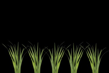 3d render illustration, Amazing picture of Abstract background