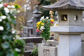 墓に手向けられた花