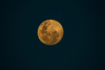 Obraz premium Full moon