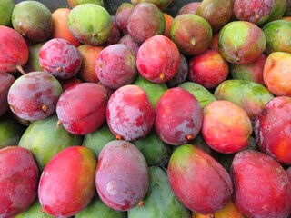 red and green mangoes