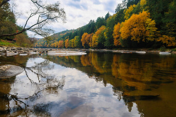 autumn in the river