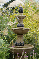 fountain in the garden