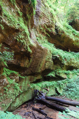 Fototapeta na wymiar cave in the forest