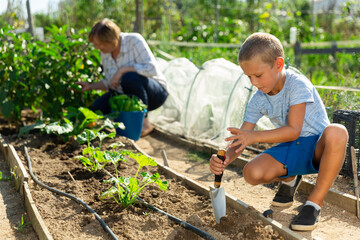 Portrait of preschool boy working in vegetable garden in summer, woman on background