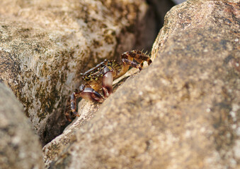 the stones are washed by the sea from all sides
