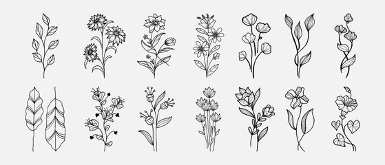 Hand drawn vector design floral elements. Vector illustration.