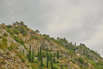 picturesque view of the mountains in summer in montenegro