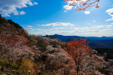 autumn in the mountains