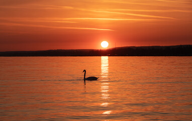 Fototapeta premium Landscape with a beautiful sunset on Balaton lake - Hungary