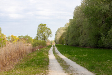 Fototapeta na wymiar Landscape with a road in the area of Little Lake Balaton -Hungary