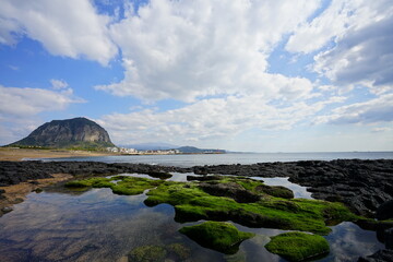 Fototapeta na wymiar beautiful moss rock beach and fine clouds