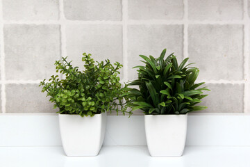 White pots with green plants on a white background with gray squares as a minimalist desktop or kitchen background
