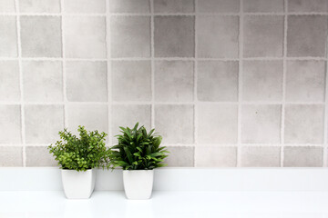 White pots with green plants on a white background with gray squares as a minimalist desktop or kitchen background
