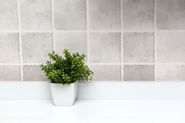 White pots with green plants on a white background with gray squares as a minimalist desktop or kitchen background
