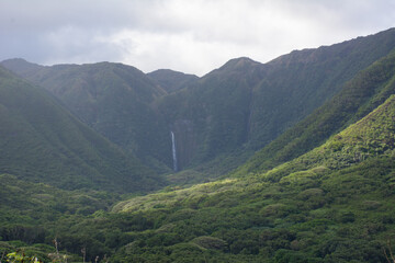Fototapeta na wymiar Waterfall deep in the lush Halawa Valley on Molokai Island in Hawaii.