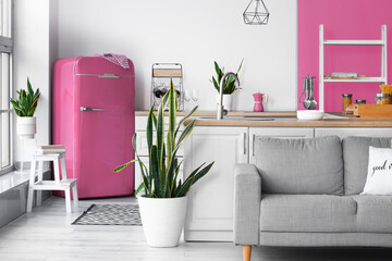 Interior of modern kitchen with pink fridge, counters and sofa
