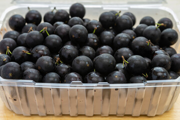 angle view pack of fresh jaboticaba