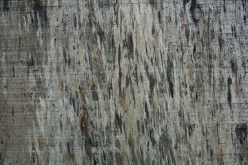 Rough Wooden surface close up. Wood texture. 