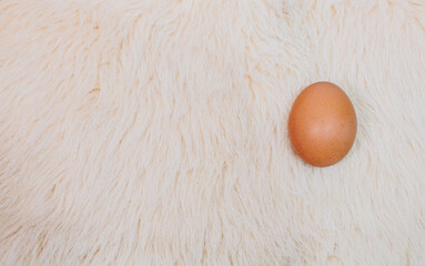Single egg placed on wool, taken from the top view.