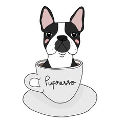 Boston Terrier dog in coffee cup with Pupresso word cartoon vector illustration	 - 501037199