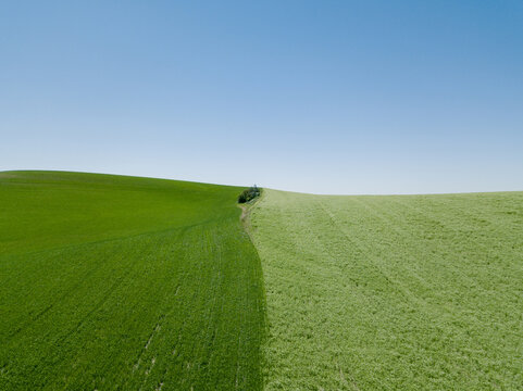 Street and countryside in Washington