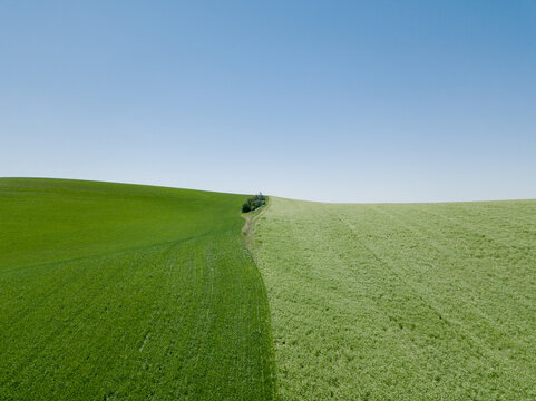 Street and countryside in Washington