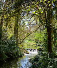 Landscape of the Vacratot Botanical Garden - Hungary