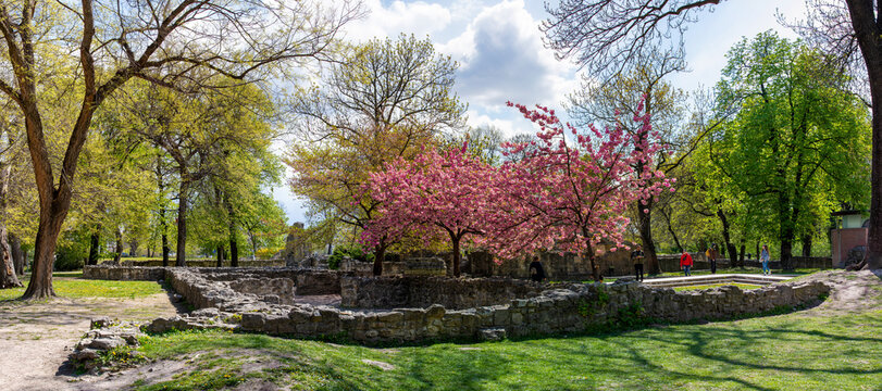 The ruins of the Dominican monastery on Margaret Island in Budapest - Hungary 