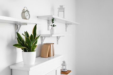 Houseplant and books on mantelpiece near white wall in room