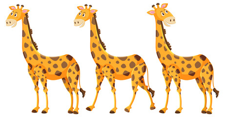 Cute giraffe cartoon on white background