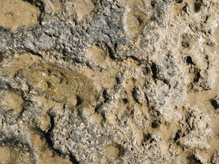 Coast of the Mediterranean Sea, long frozen lava. Background. It looks like an alien landscape.